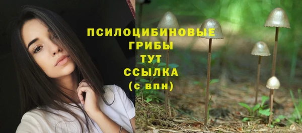 кристаллы Липки