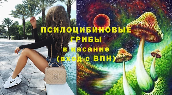 прущие грибы Майский