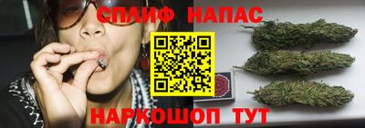 гашик Жуковский