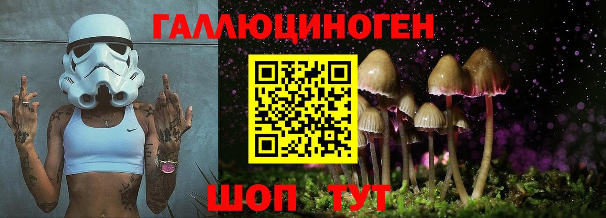 Псилоцибиновые грибы Psilocybine cubensis Сарапул